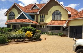 RUNDA HOUSE