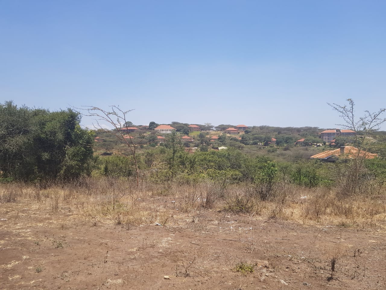 RIMPA NEAR MUTHURWA